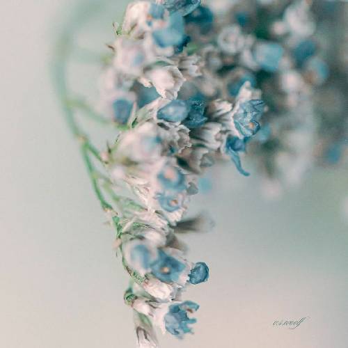 اصن نمیدونم که با خودم چند چندم من دچار سر دردم